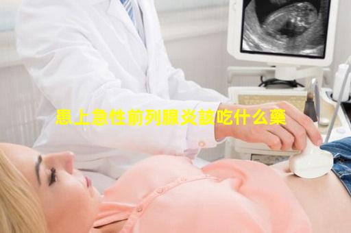 患上急性前列腺炎該吃什么藥