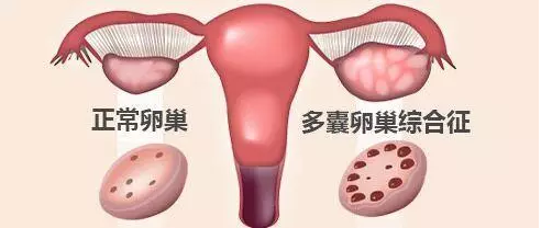 重慶送子鳥醫(yī)院
