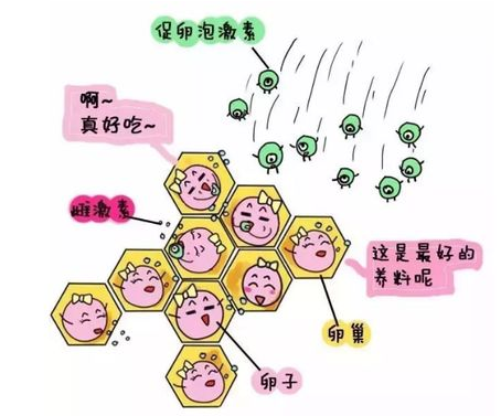 重慶送子鳥醫(yī)院