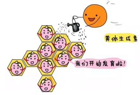 重慶送子鳥醫(yī)院