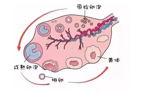 重慶送子鳥醫院