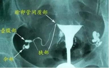 重慶送子鳥醫院