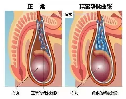 重慶送子鳥醫院