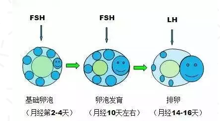 重慶送子鳥醫院