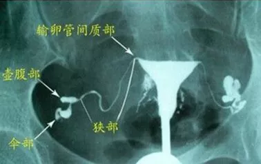 重慶送子鳥醫(yī)院